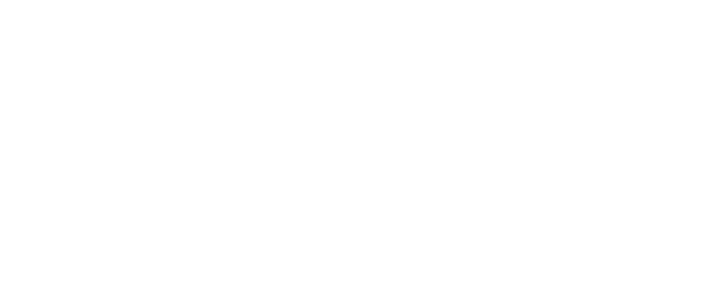 Irish Environmental Network