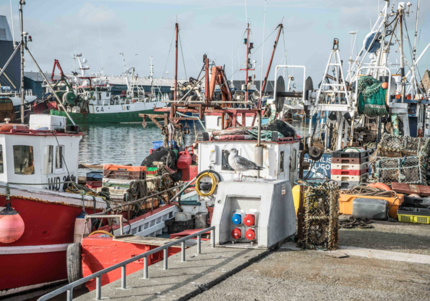 Common Fisheries Policy Review 2022: The process so far