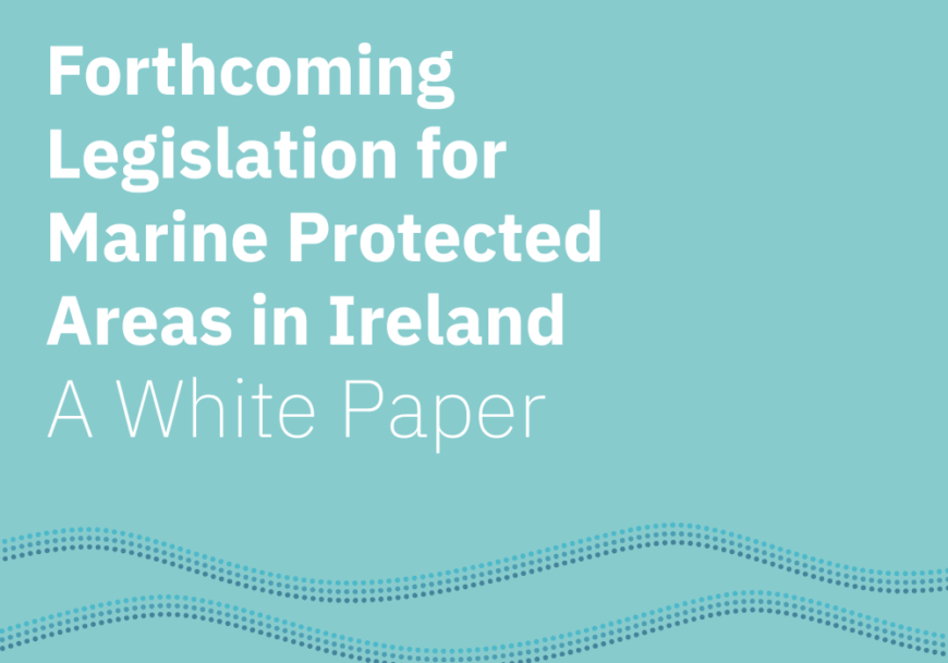 Fair Seas White Paper: Key asks of Ireland’s MPA legislation