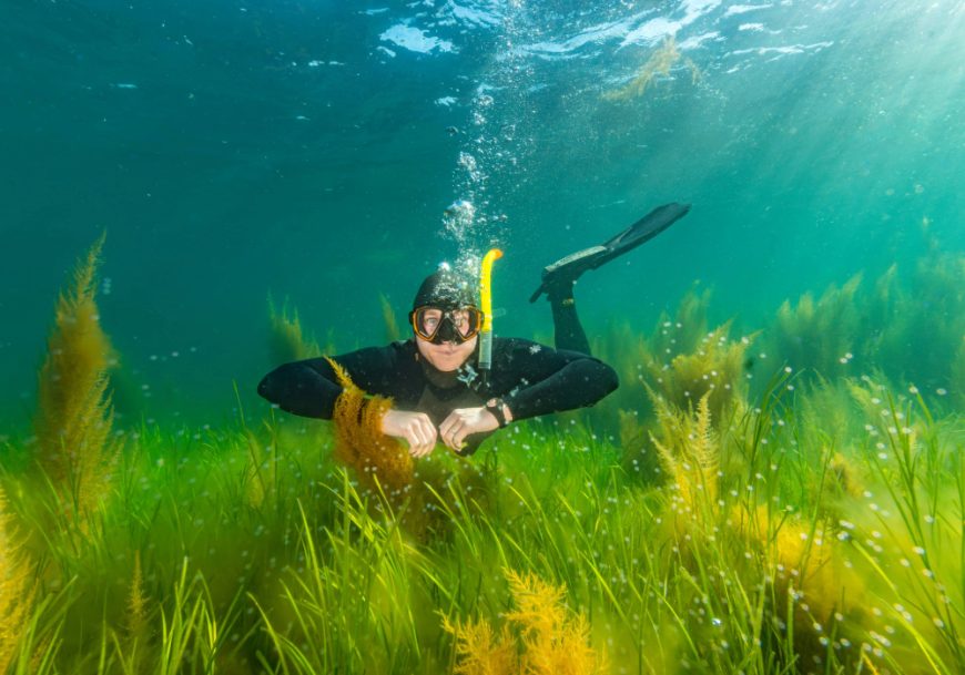 New survey – Irish public say government isn’t doing enough for our seas